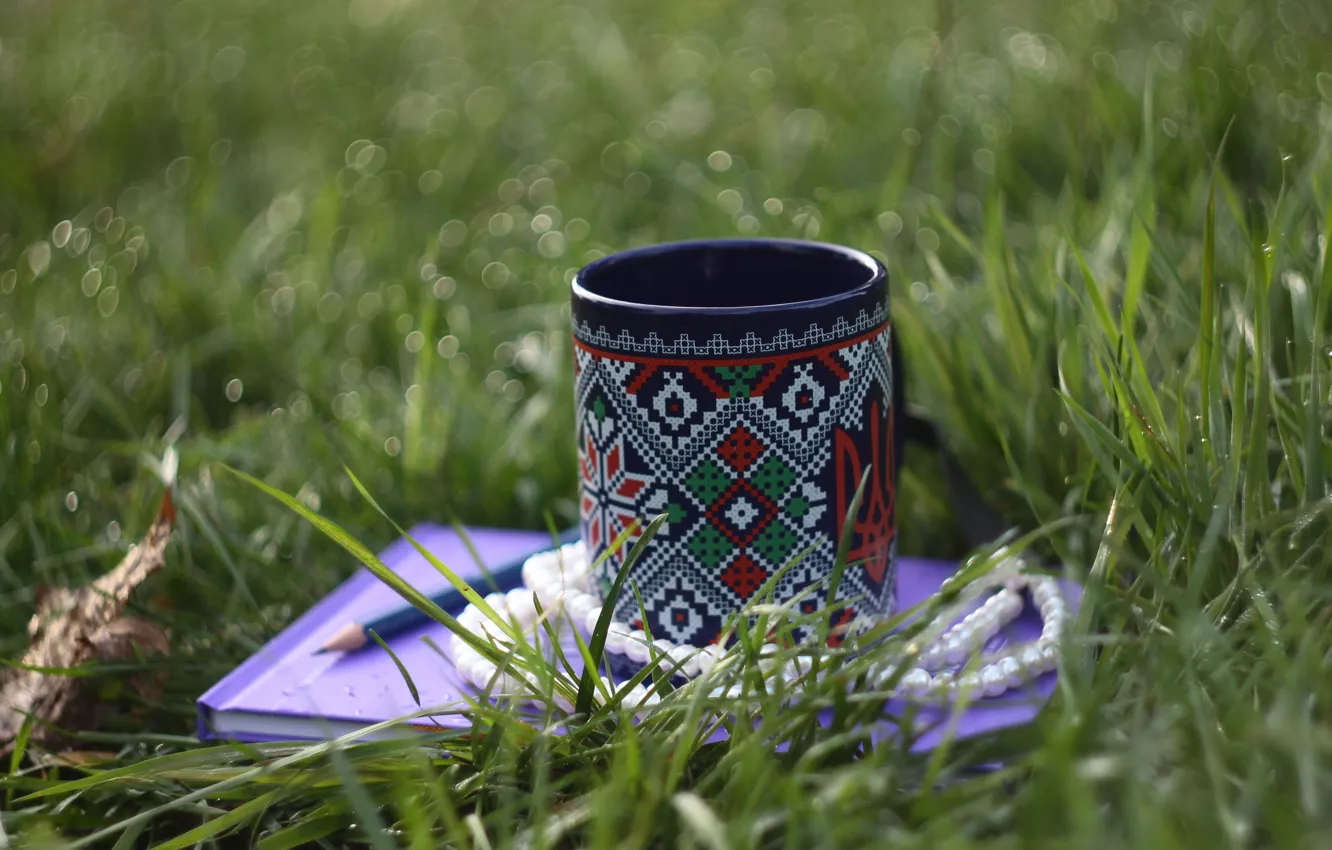 Photo wallpaper greens, grass, water, blue, necklace, album, Cup, beads