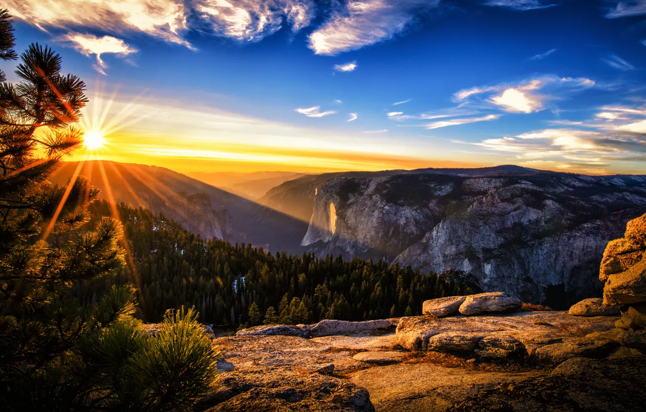 Photo wallpaper forest, sky, cloud, mountains, sun