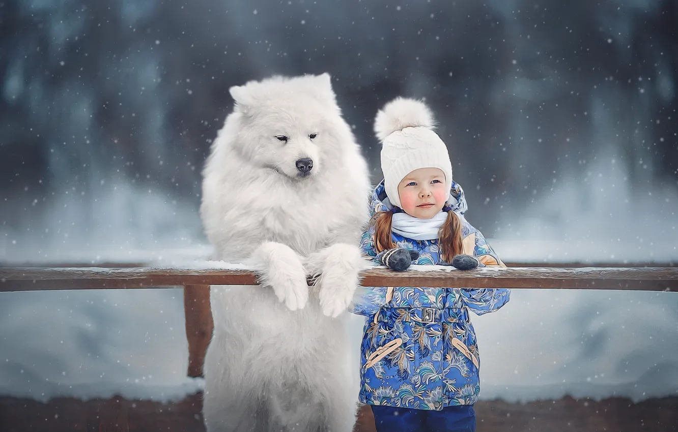 Photo wallpaper winter, children, animal, dog, girl, dog, Samoyed, Ksenia Lysenkova