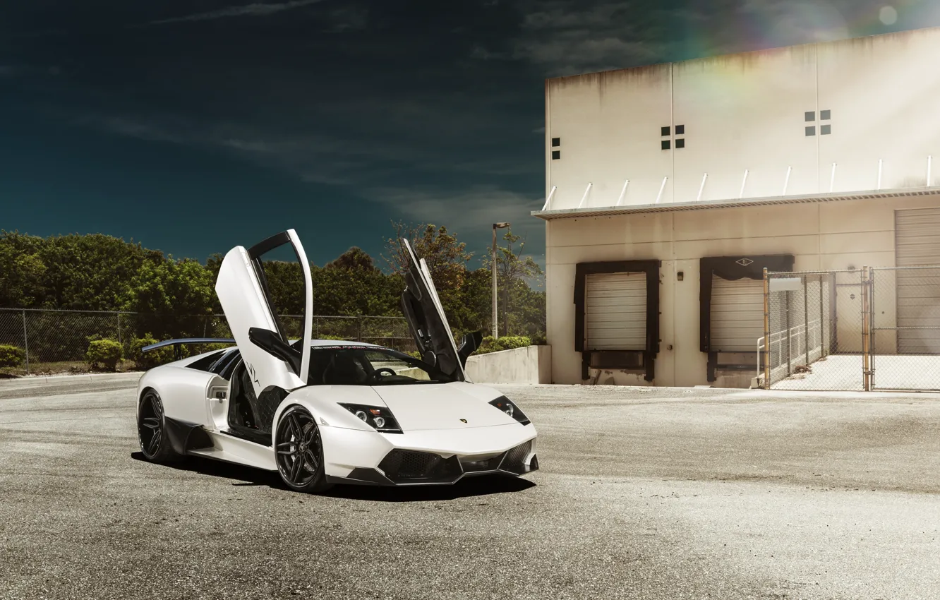 Photo wallpaper Lamborghini, white, white, Lamborghini, Murcielago, murciélago