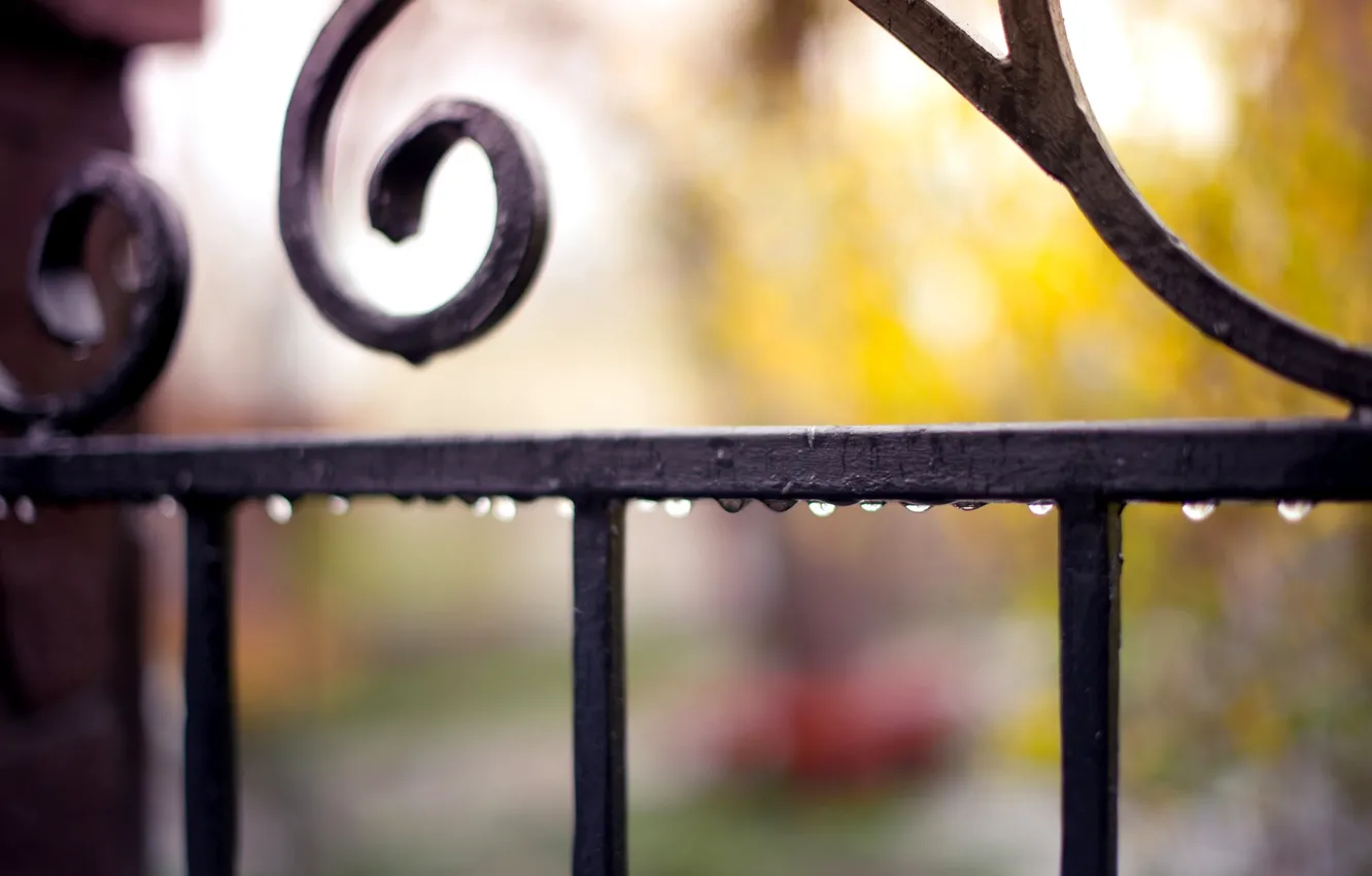 Photo wallpaper drops, macro, droplets, rain, the fence, fence, blur