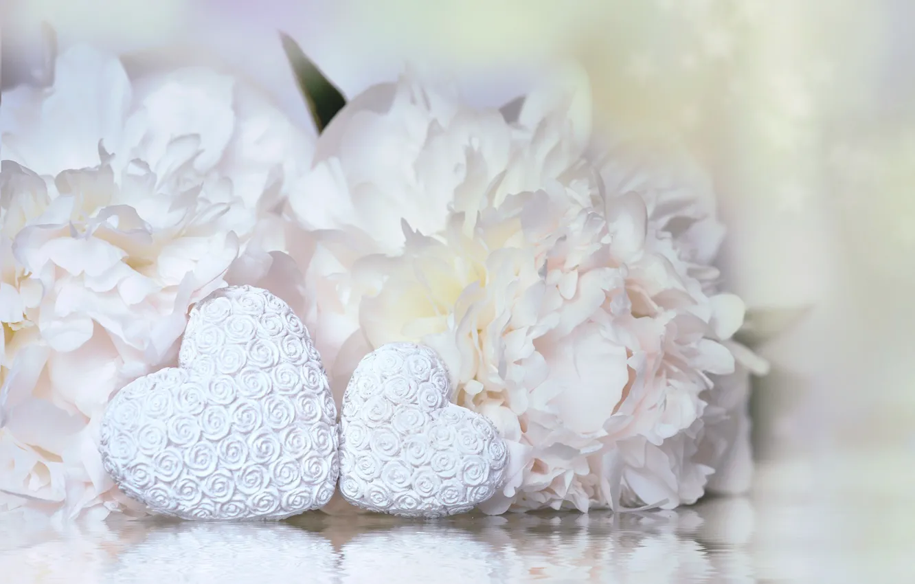 Photo wallpaper Flowers, Hearts, Pair, Holiday, Valentine's day, Peonies