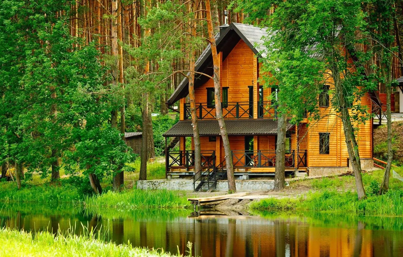 Photo wallpaper forest, grass, trees, landscape, nature, river, plant, home