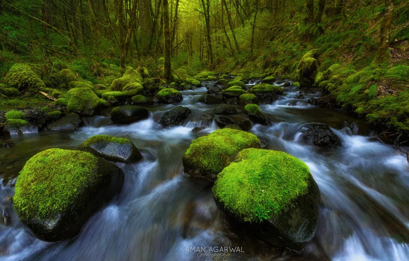 Photo wallpaper water, stones, moss, stream, the Columbia river