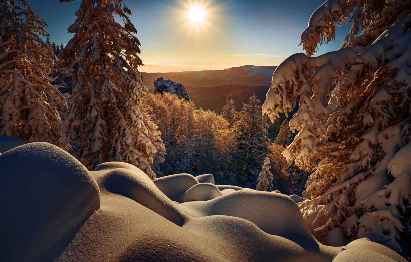 Photo wallpaper winter, the sun, rays, snow, trees, landscape, mountains, nature