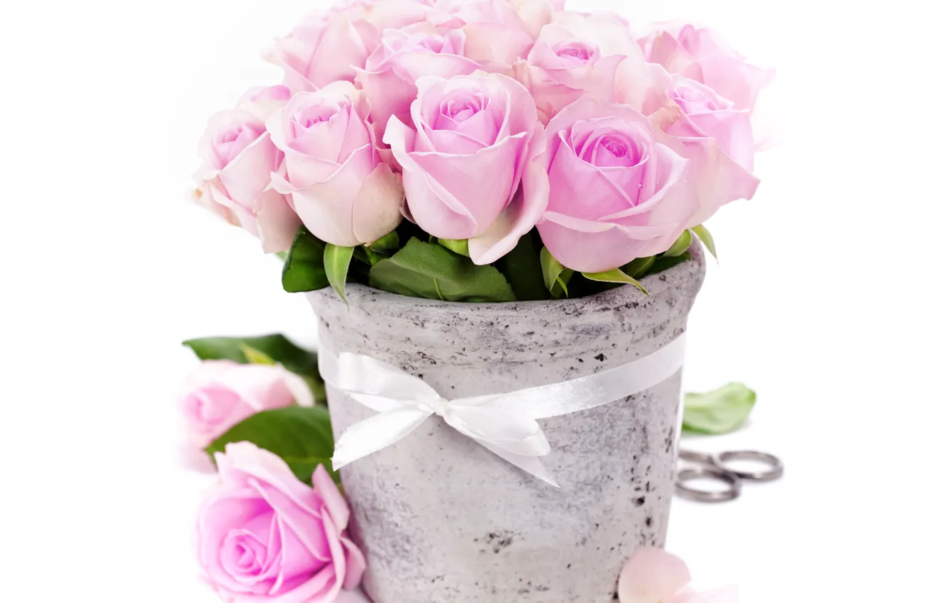 Photo wallpaper photo, Flowers, Pink, Vase, Roses, Bow