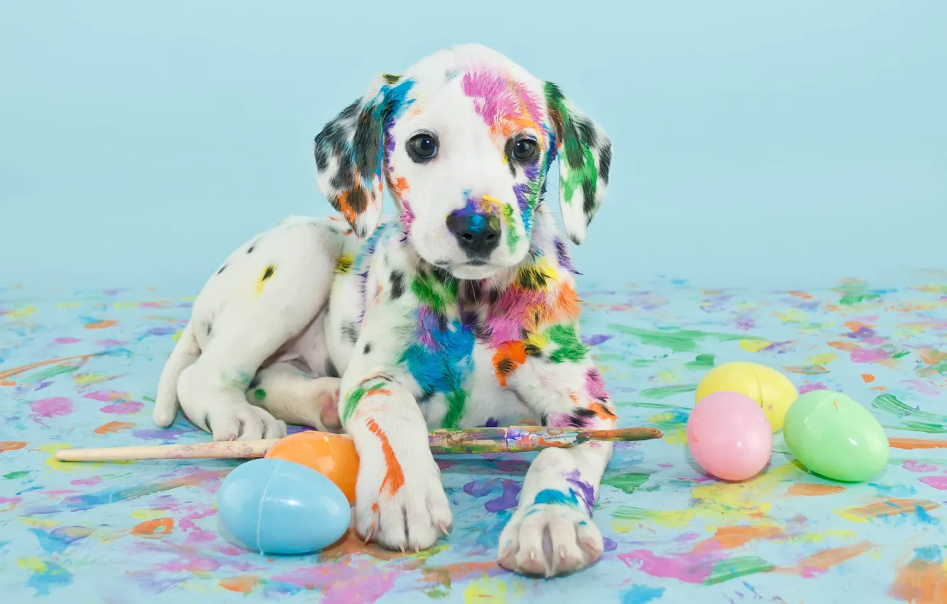 Photo wallpaper paint, eggs, puppy, brush