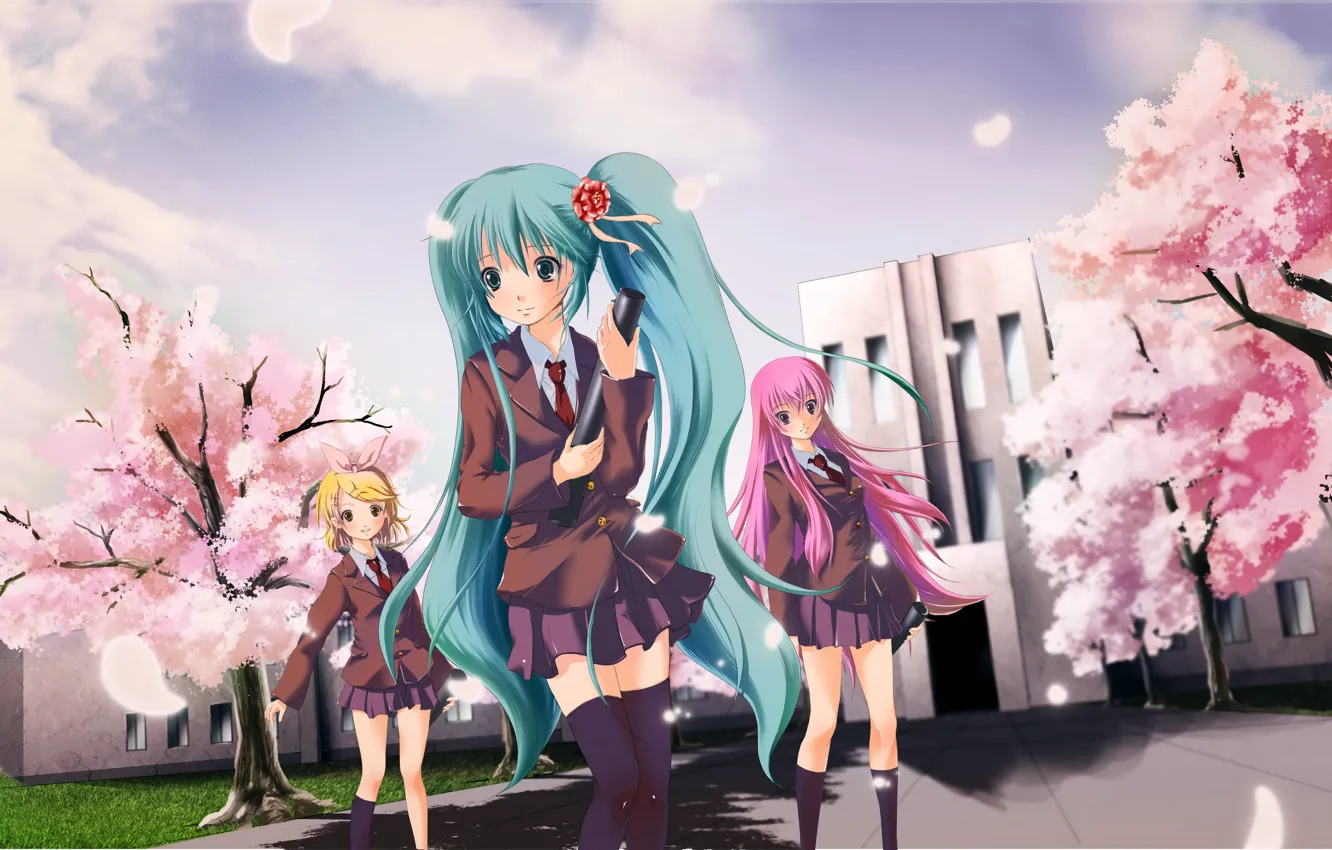 Photo wallpaper stockings, Sakura, vocaloid, school, school uniform, blue hair, pink hair