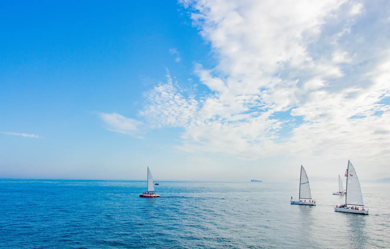 Photo wallpaper sport, yachts, regatta