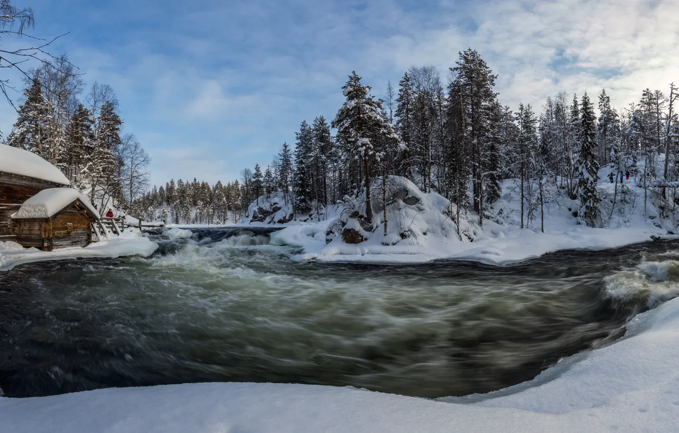 Photo wallpaper winter, forest, river