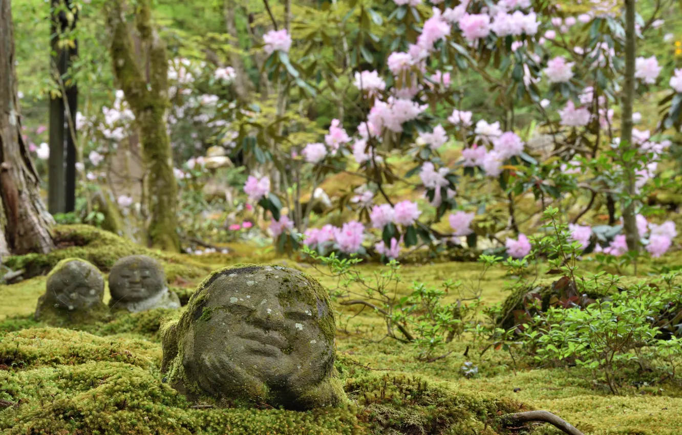 Photo wallpaper Flowers, Nature, Japan, Garden, Stones, Moss, Sculpture