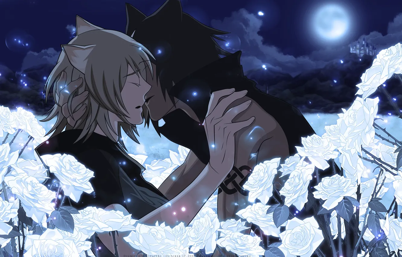 Photo wallpaper the full moon, white roses, Konoe, two guys, visual novel, almost kiss, Lamento, Asato