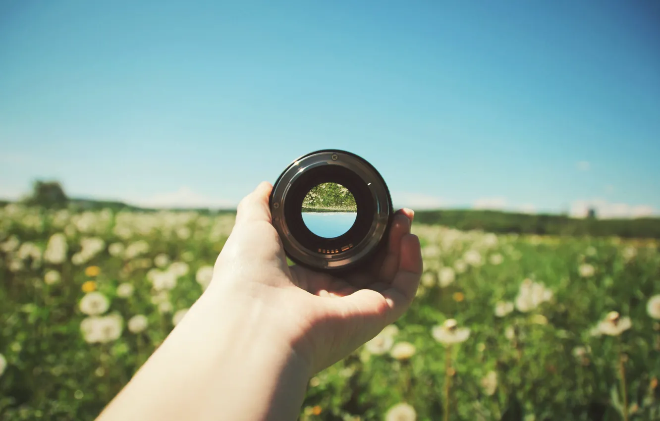Photo wallpaper field, flowers, reflection, hand, lens, sunny