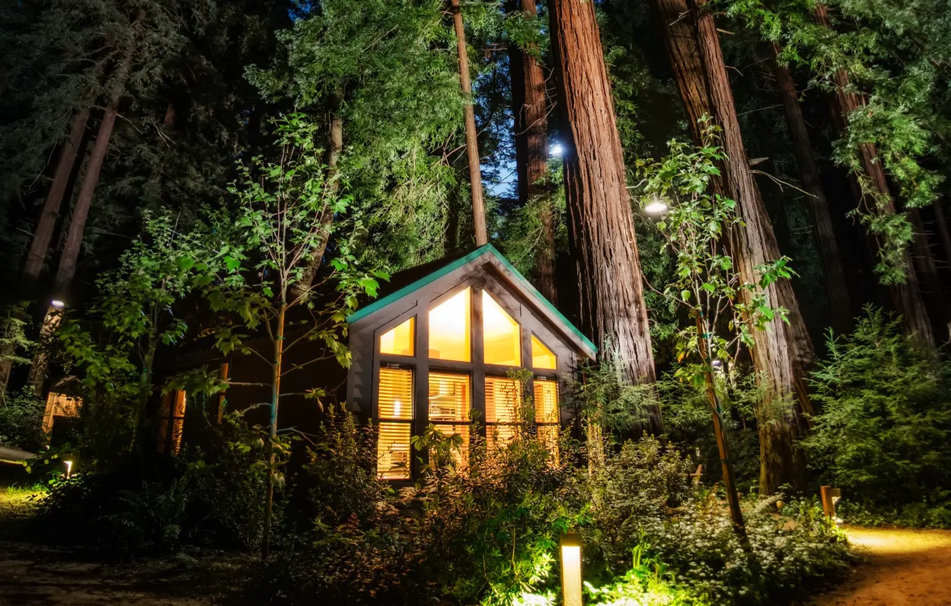Photo wallpaper forest, light, trees, lights, Park, HDR, house