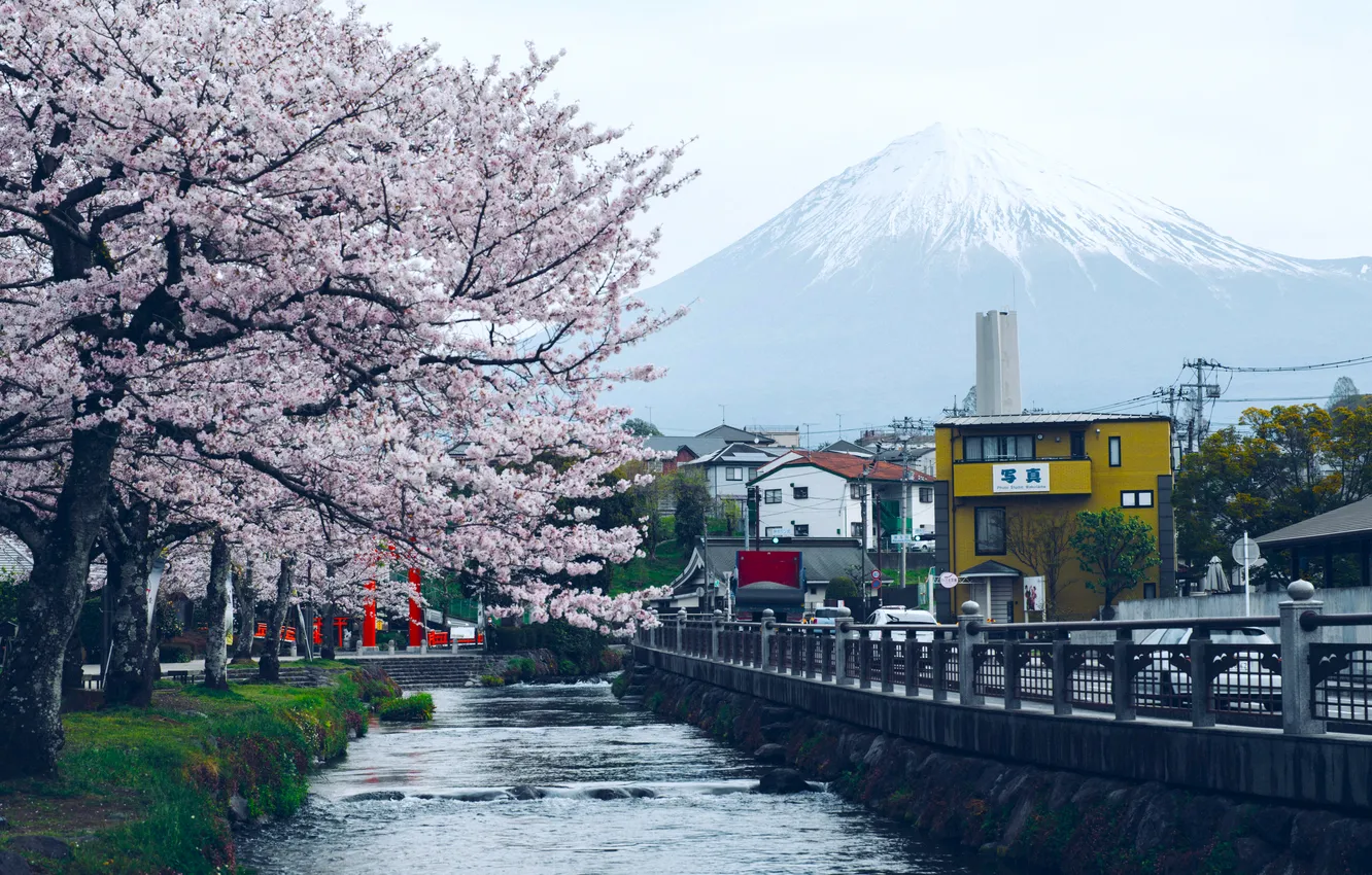 Photo wallpaper Japan, Mount Fuji, Ricardo, Hongū
