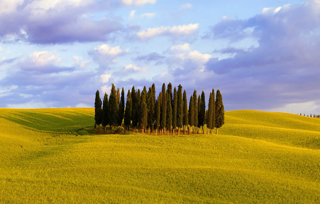 Photo wallpaper the sky, grass, clouds, trees, hills, Italy