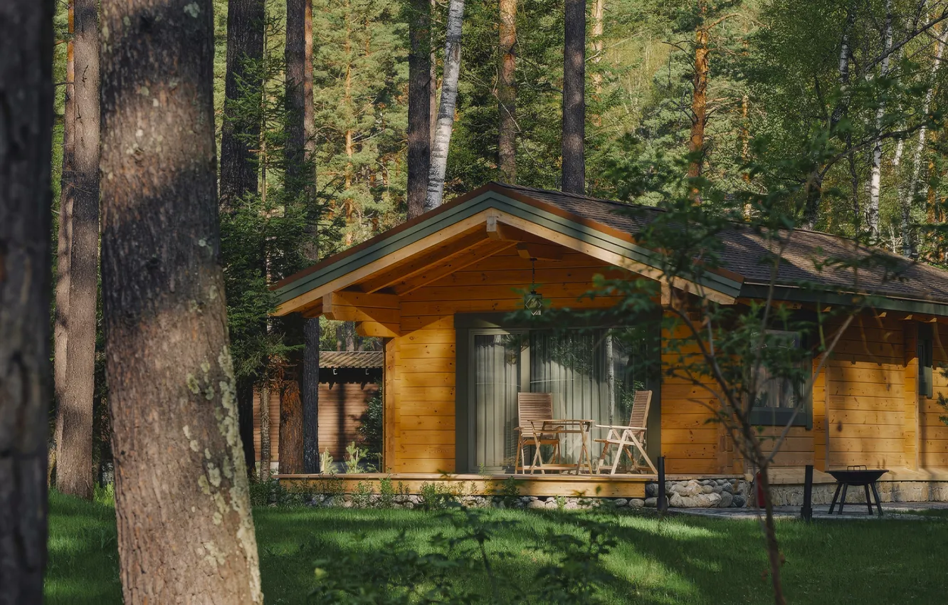 Photo wallpaper forest, nature, home, house, forest, nature