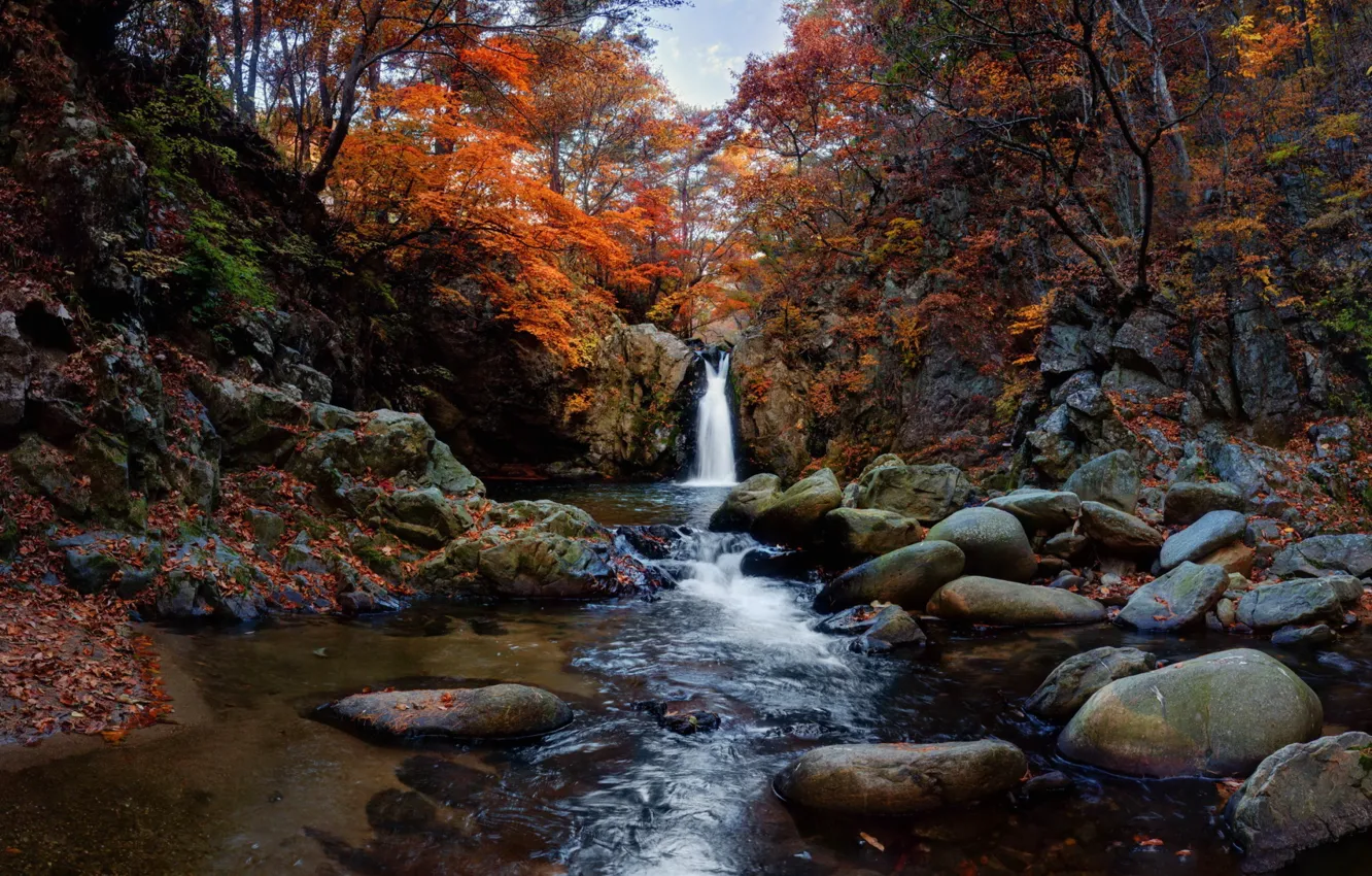 Photo wallpaper autumn, river, stream, stones, waterfall