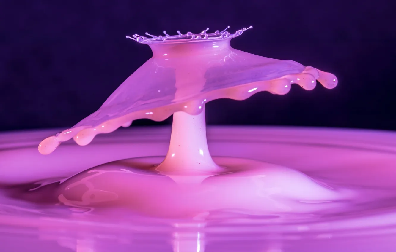 Photo wallpaper splash, liquid, pink color