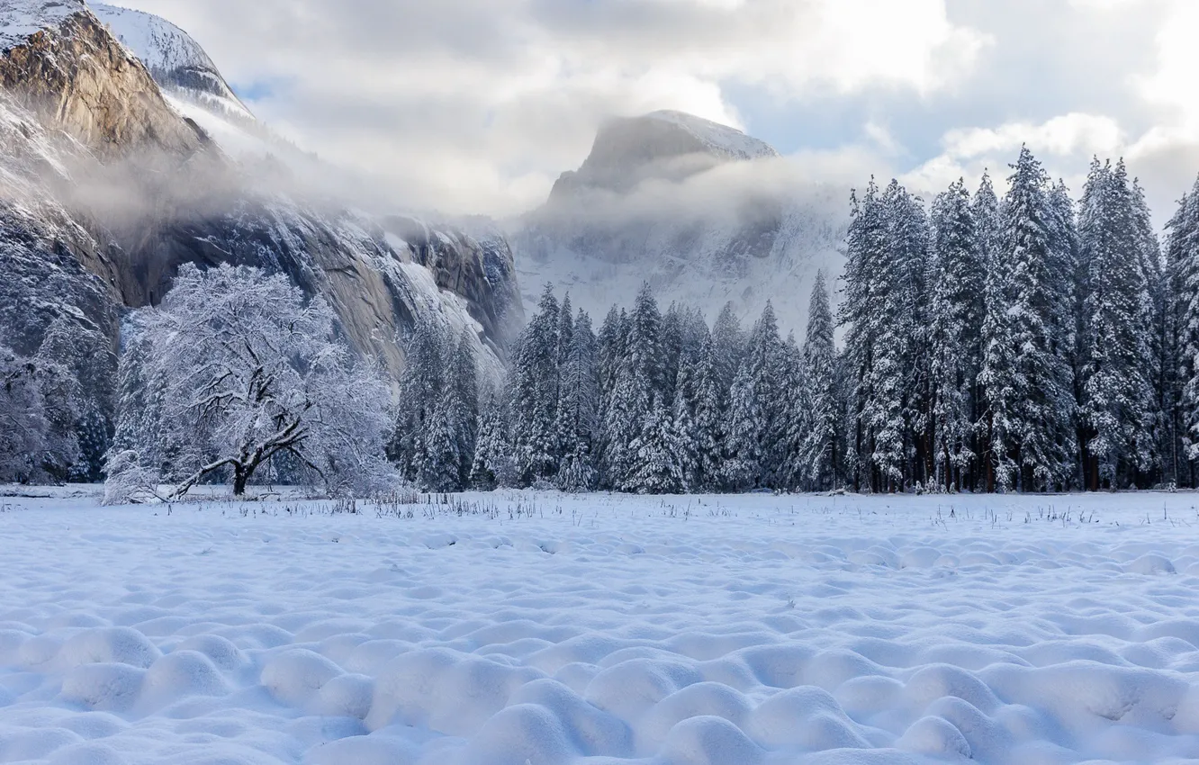 Photo wallpaper cold, winter, snow