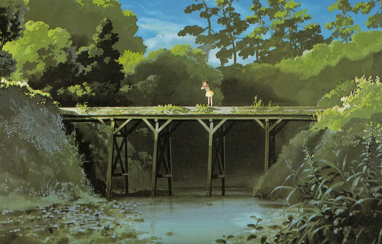 Photo wallpaper summer, grass, foliage, river, Creek, my neighbor Totoro, searches, tonari no totoro