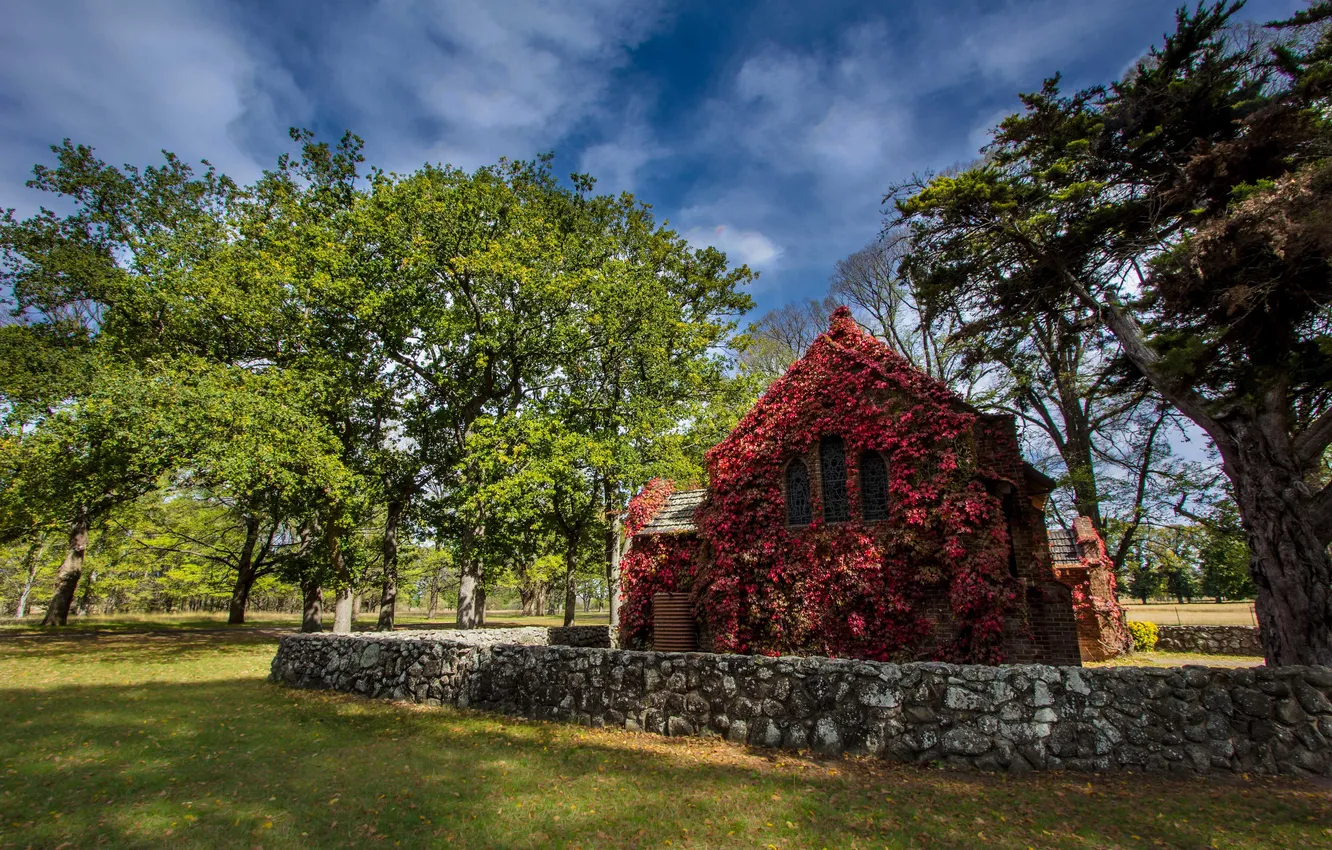 Photo wallpaper the sky, clouds, trees, flowers, stones, shadow, Australia, sunlight
