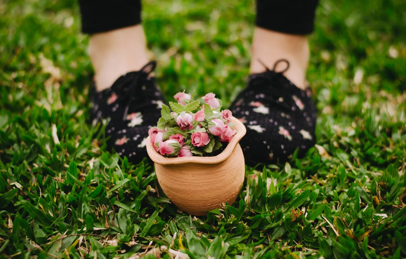 Photo wallpaper grass, flowers, roses, pot