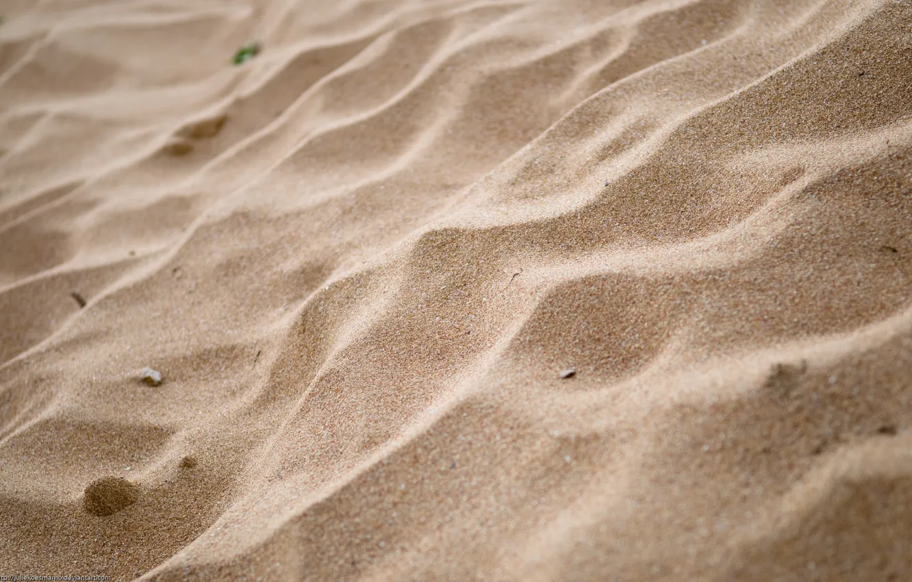Photo wallpaper sand, beach, macro, nature, photo, Wallpaper
