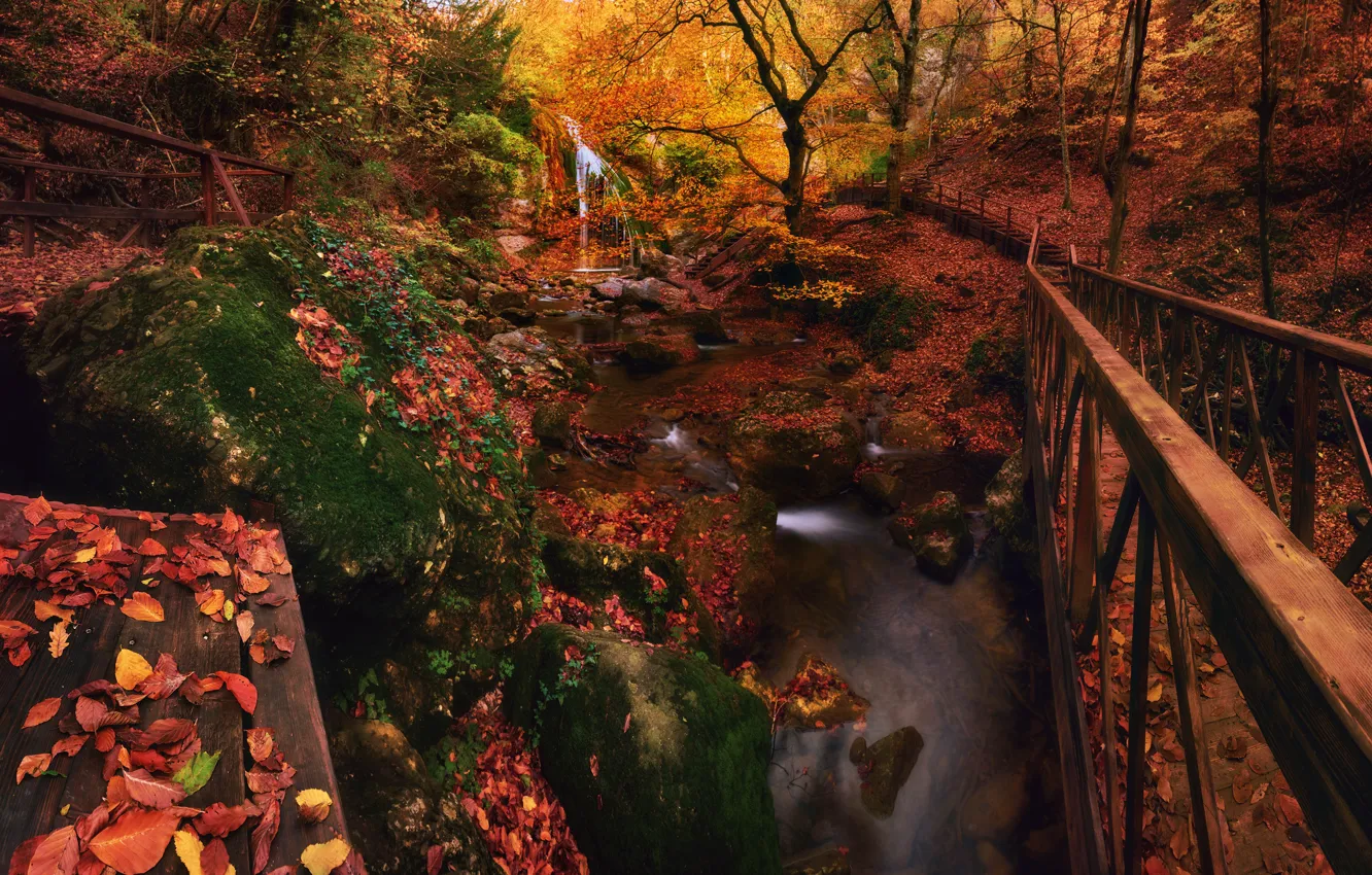 Photo wallpaper autumn, forest, leaves, trees, waterfall, Russia, the bridge, Crimea