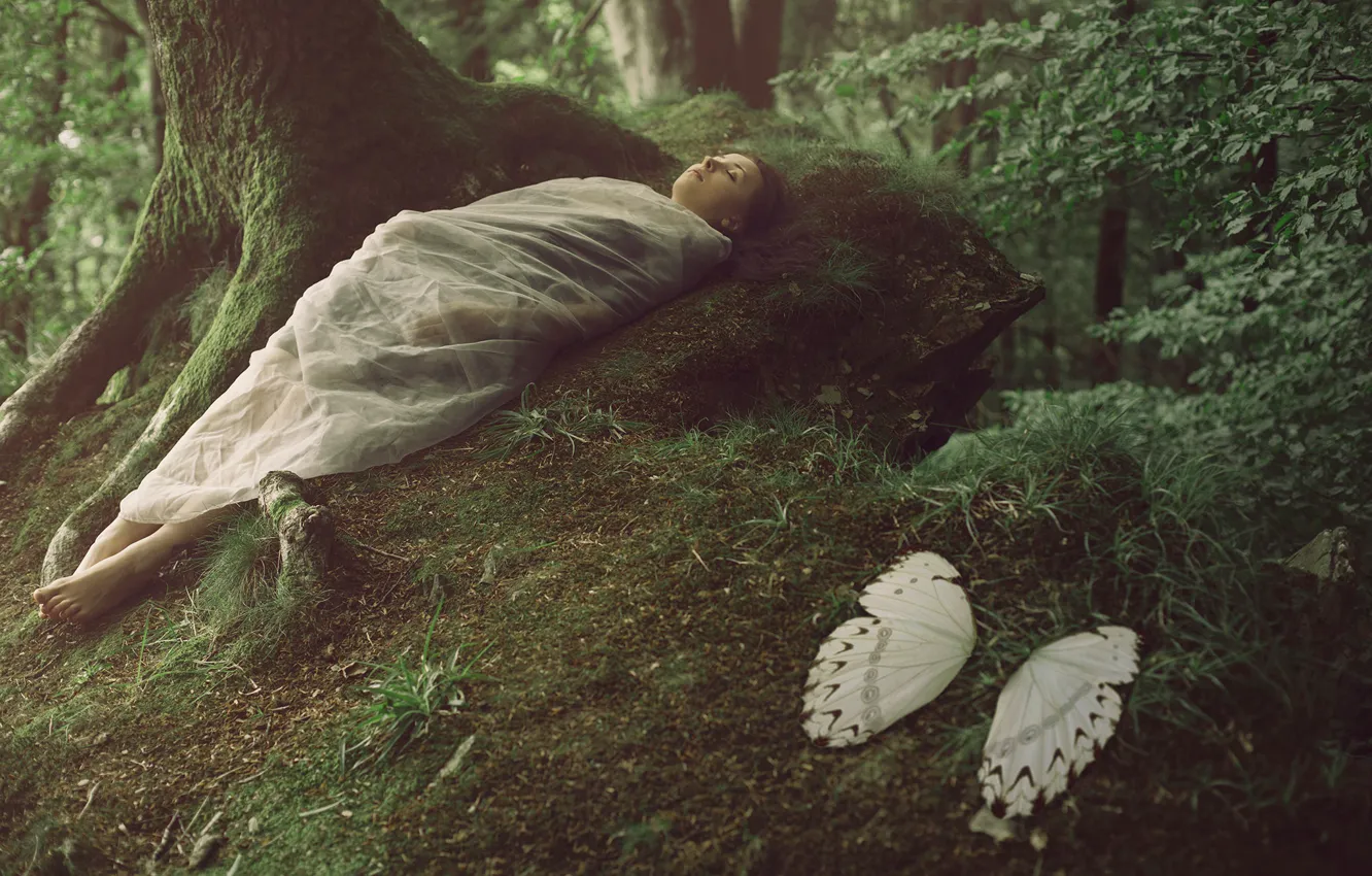 Photo wallpaper forest, girl, fantasy, wings, cocoon