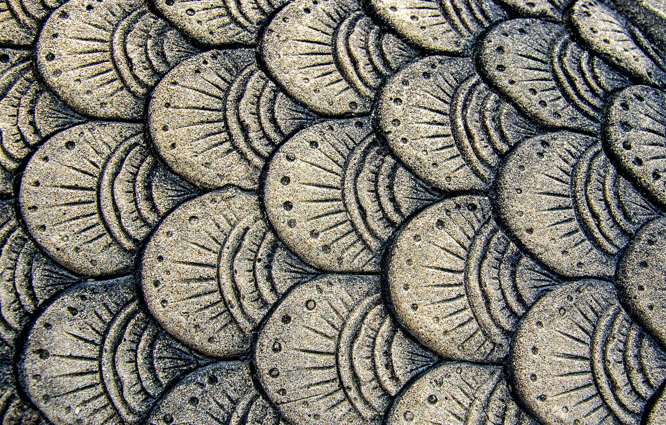 Photo wallpaper trees, texture, thread