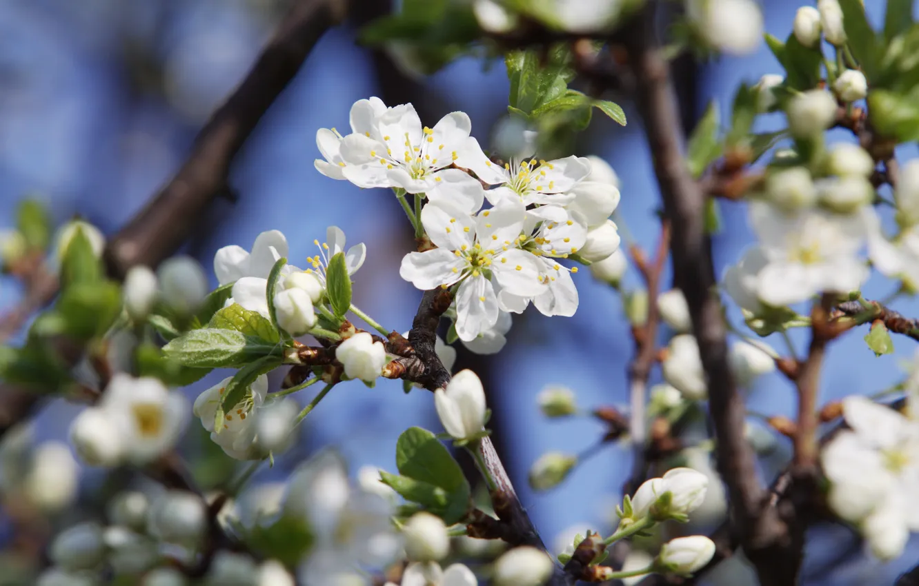Photo wallpaper the sky, hot, drain