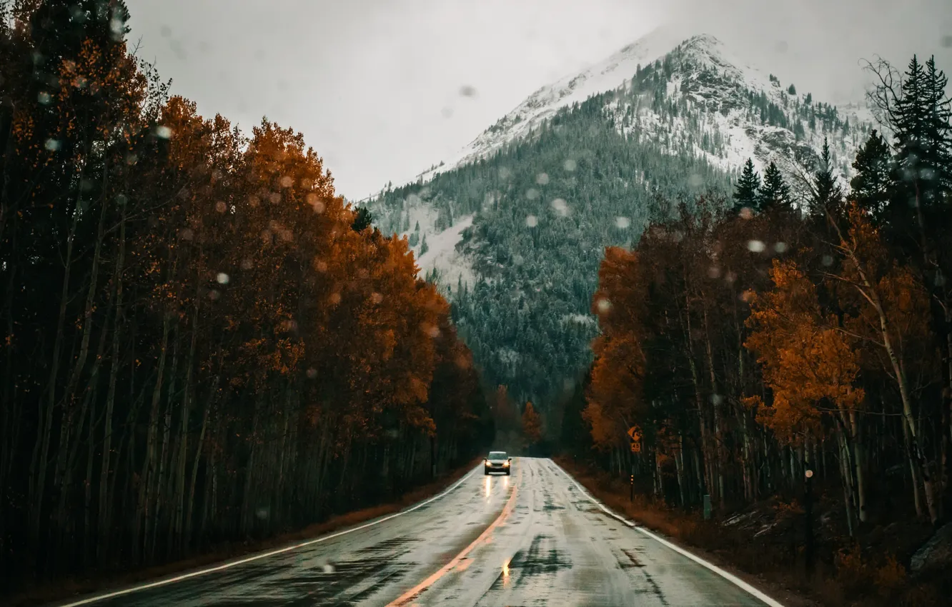 Photo wallpaper road, autumn, forest, mountain