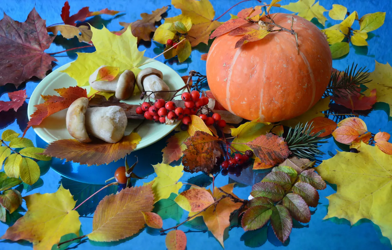 Photo wallpaper autumn, leaves, mushrooms, pumpkin, still life, needles