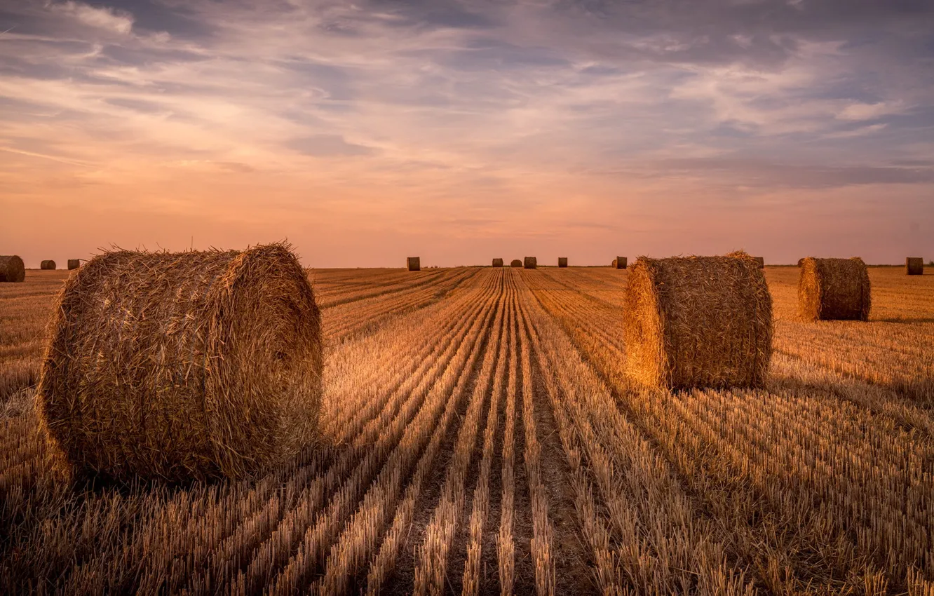 Photo wallpaper field, summer, landscape, hay