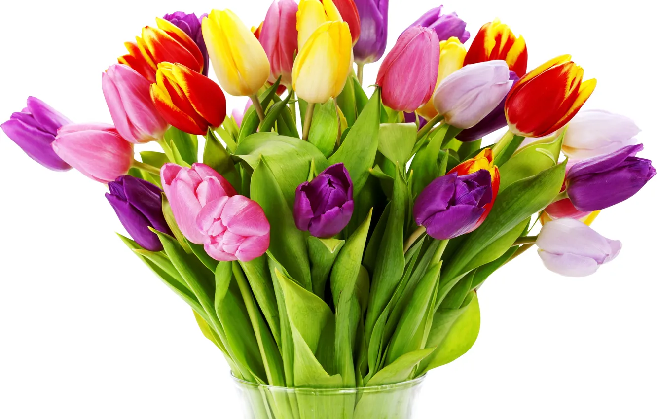 Photo wallpaper flower, flowers, nature, Tulip, bouquet, spring, tulips, vase