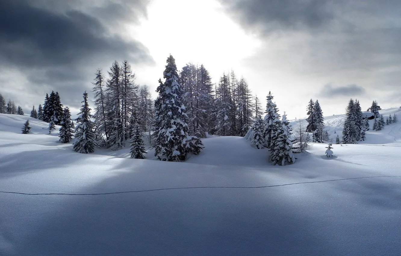 Photo wallpaper winter, snow, landscape