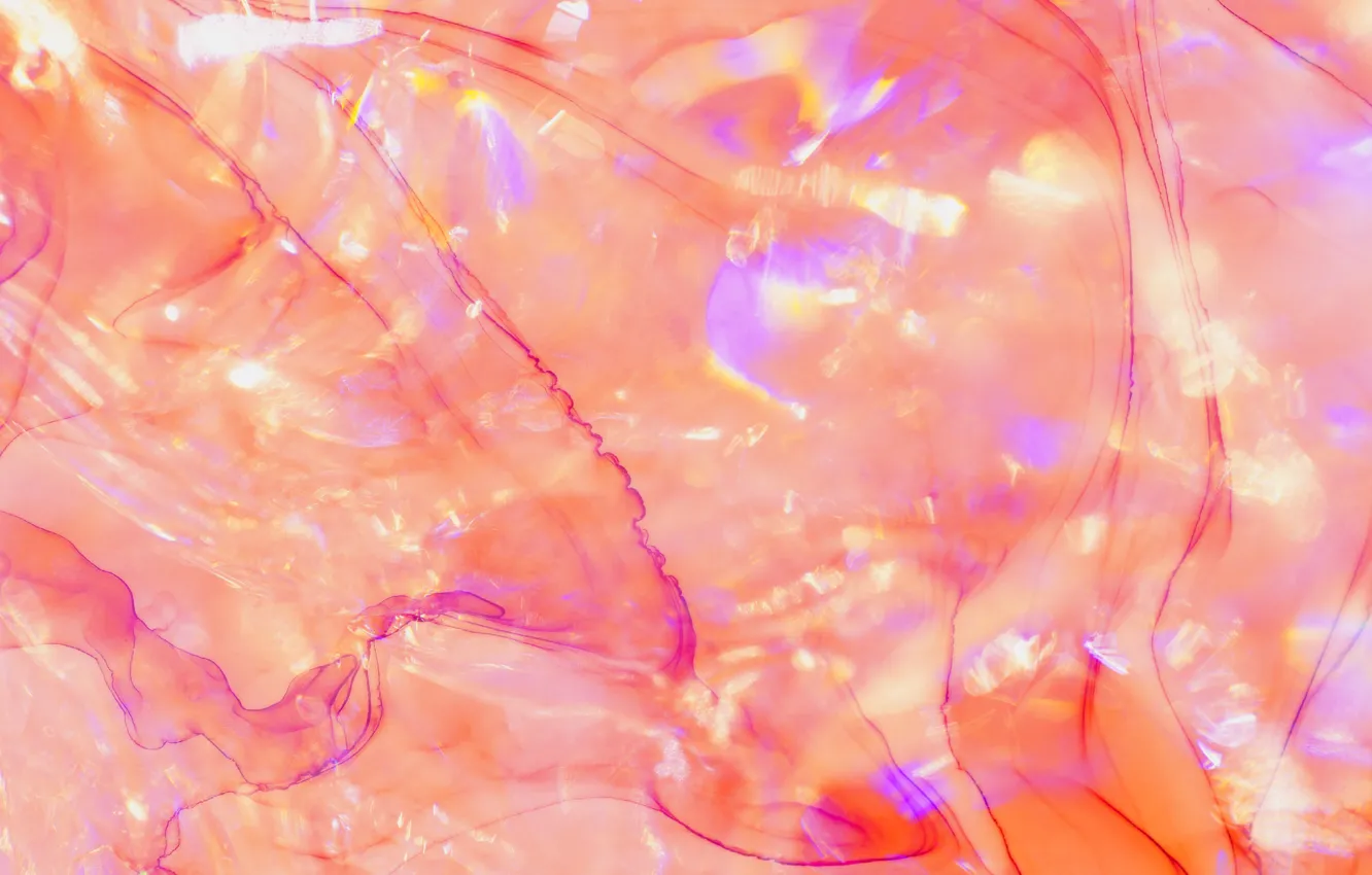 Photo wallpaper abstract, pattern, color