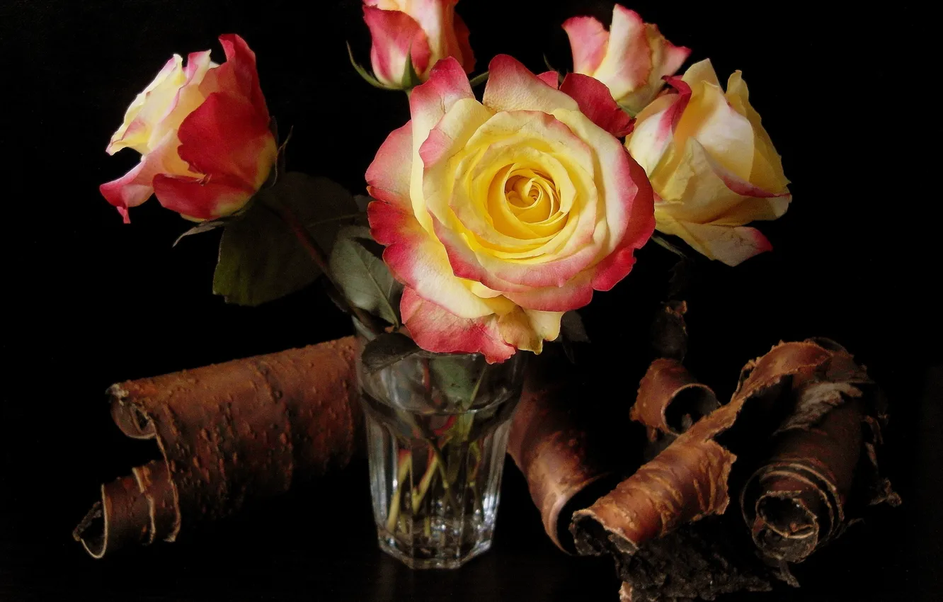 Photo wallpaper water, flowers, glass, roses, bouquet, bark, beautiful, elm
