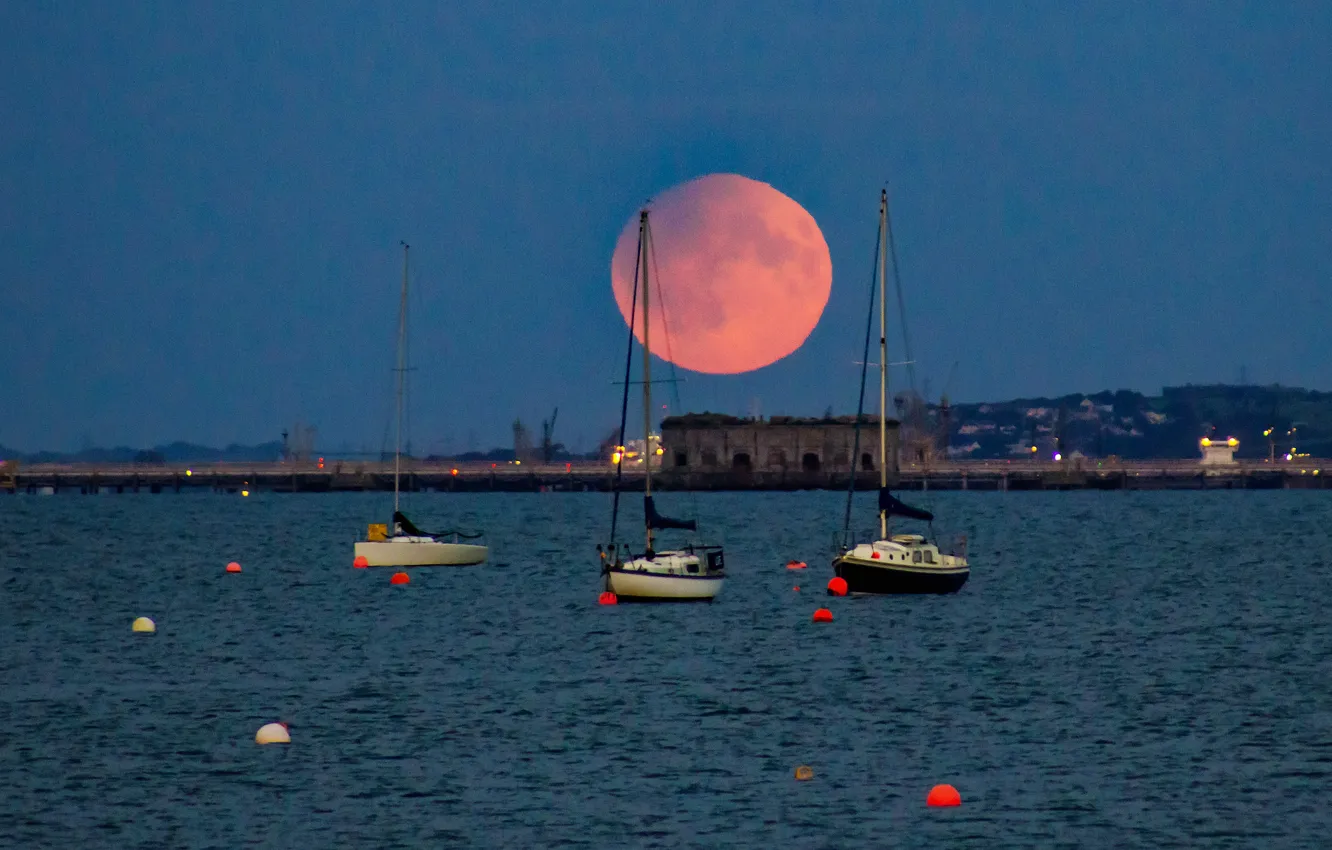 Photo wallpaper night, Bay, boats, yacht, The moon