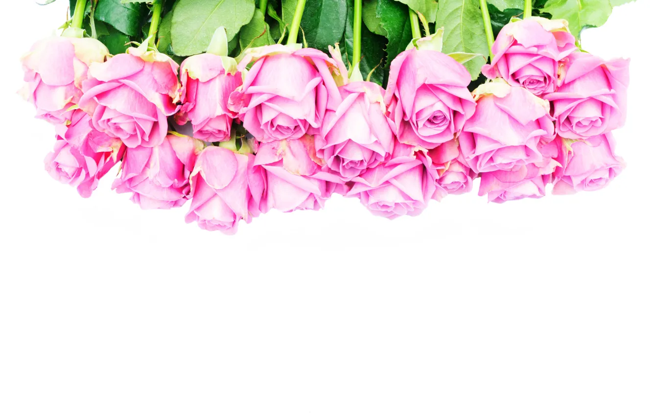 Photo wallpaper roses, bouquet, pink, flowers, roses, pink roses