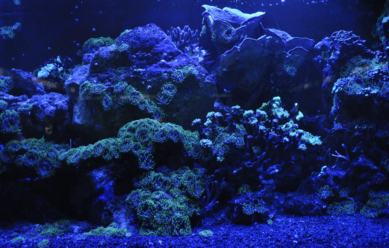 Photo wallpaper light, sea, ocean, water