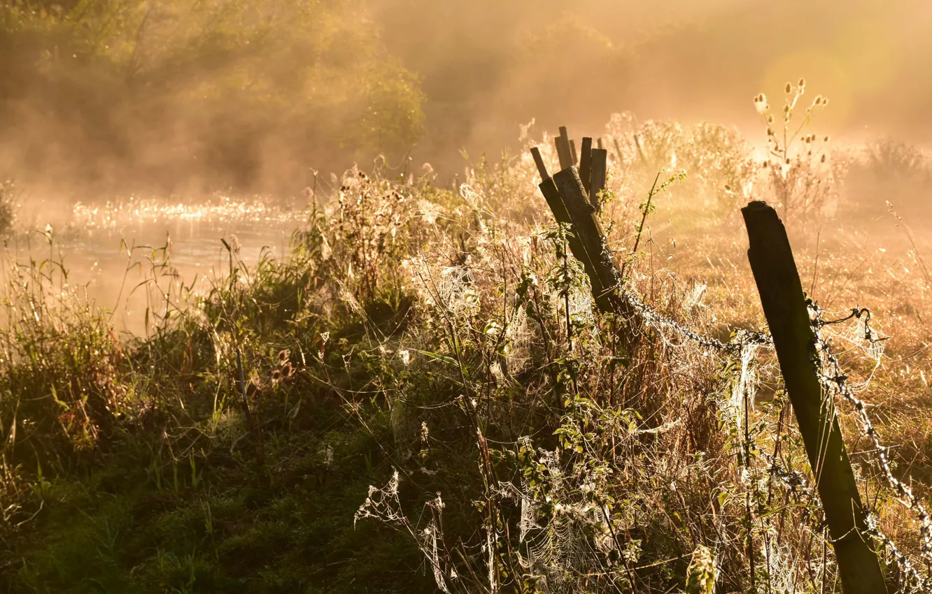 Photo wallpaper light, the fence, morning