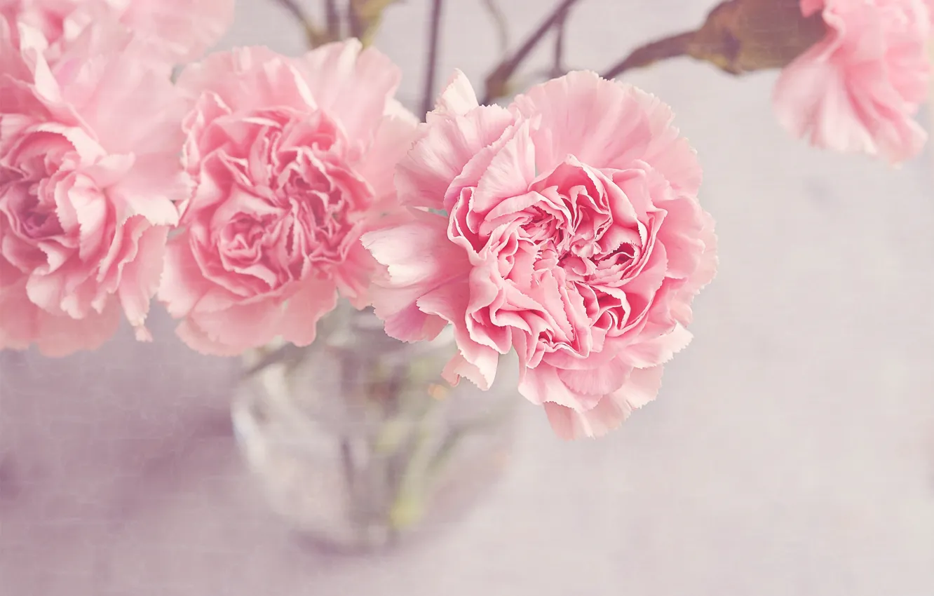 Photo wallpaper flowers, vase, clove