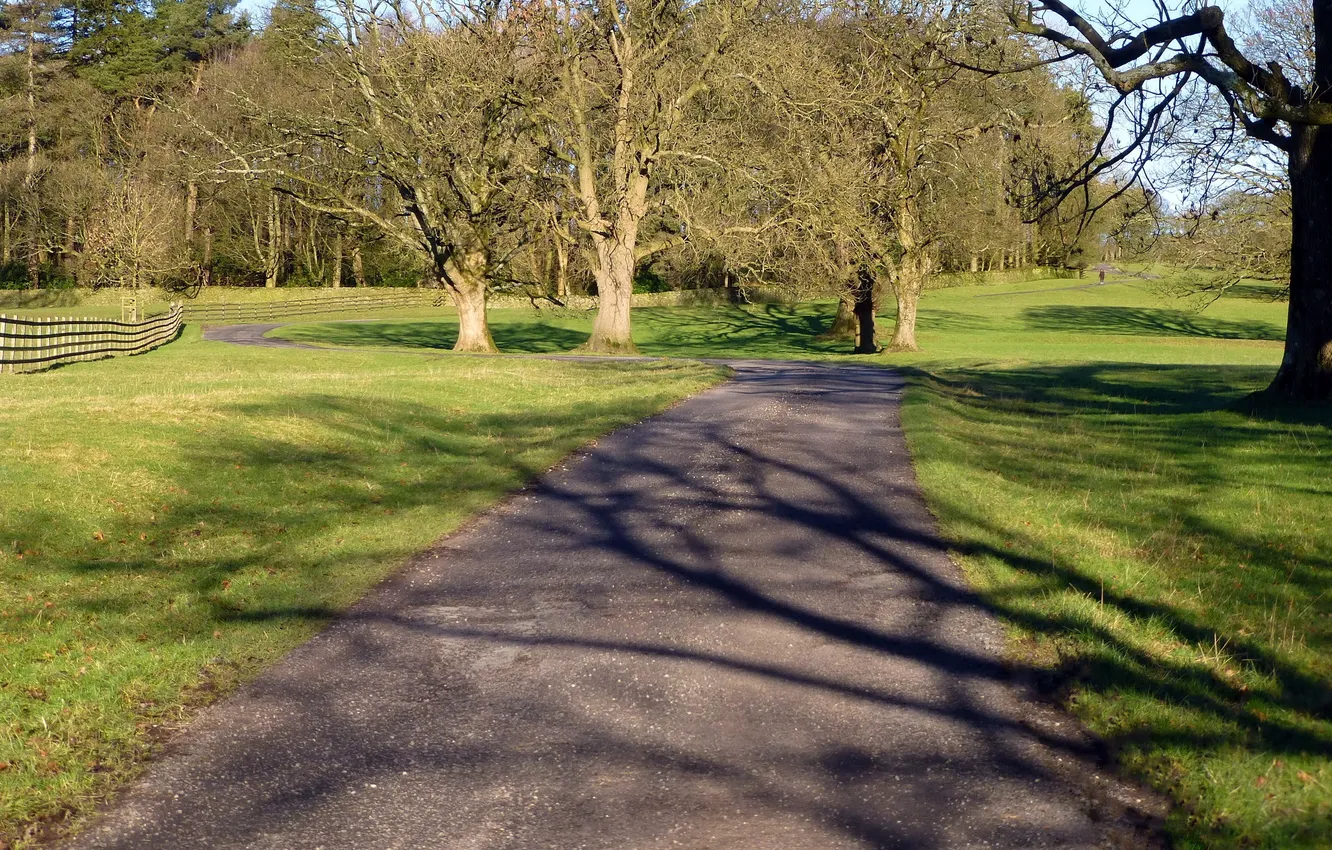 Photo wallpaper road, landscape, Park