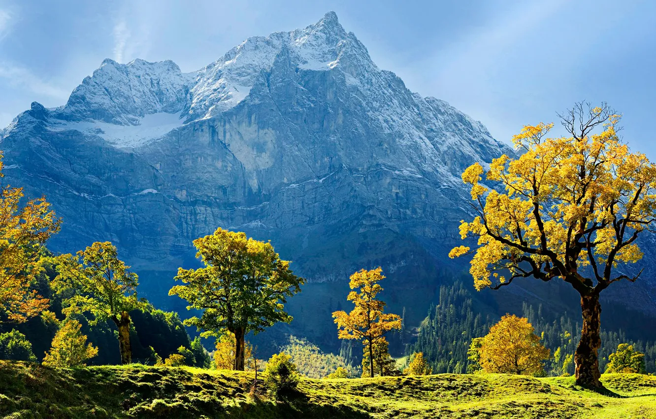 Photo wallpaper Snow, Mountains, Austria, Trees, Maple