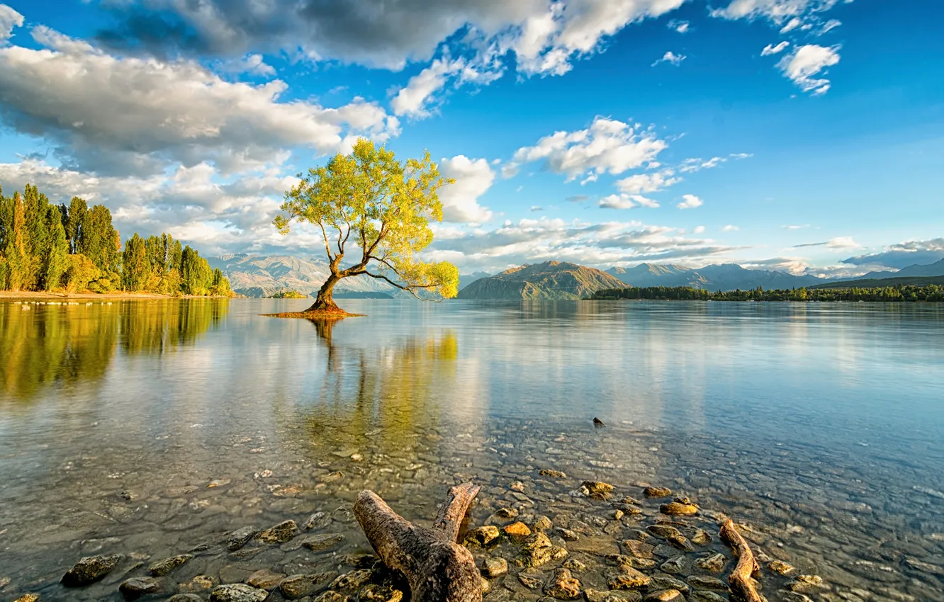 Photo wallpaper the sky, clouds, trees, lake, New Zealand, South island, Wanaka