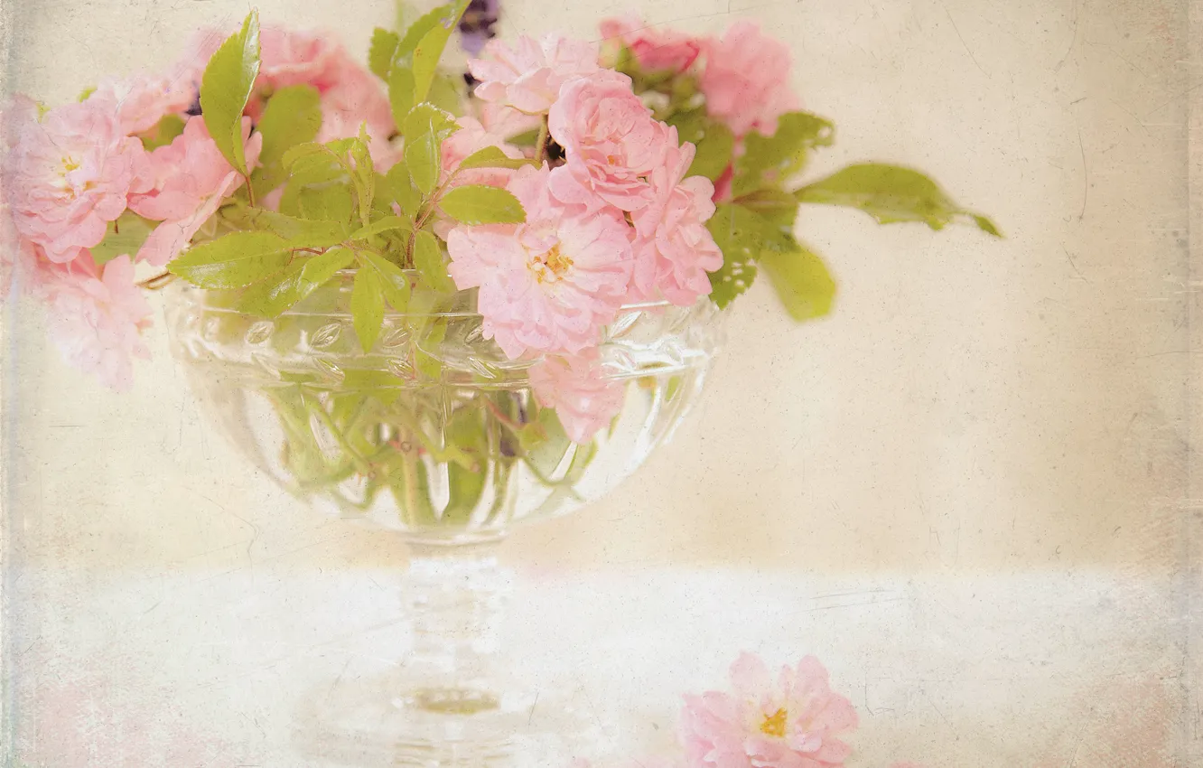 Photo wallpaper flowers, roses, bouquet, vase, pink, tea