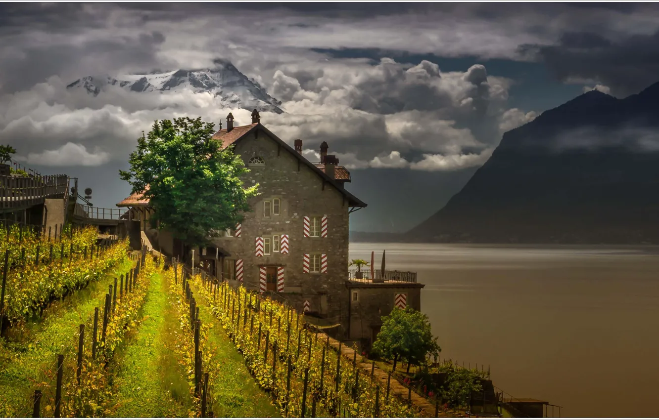 Photo wallpaper mountains, lake, house, Switzerland, vineyard