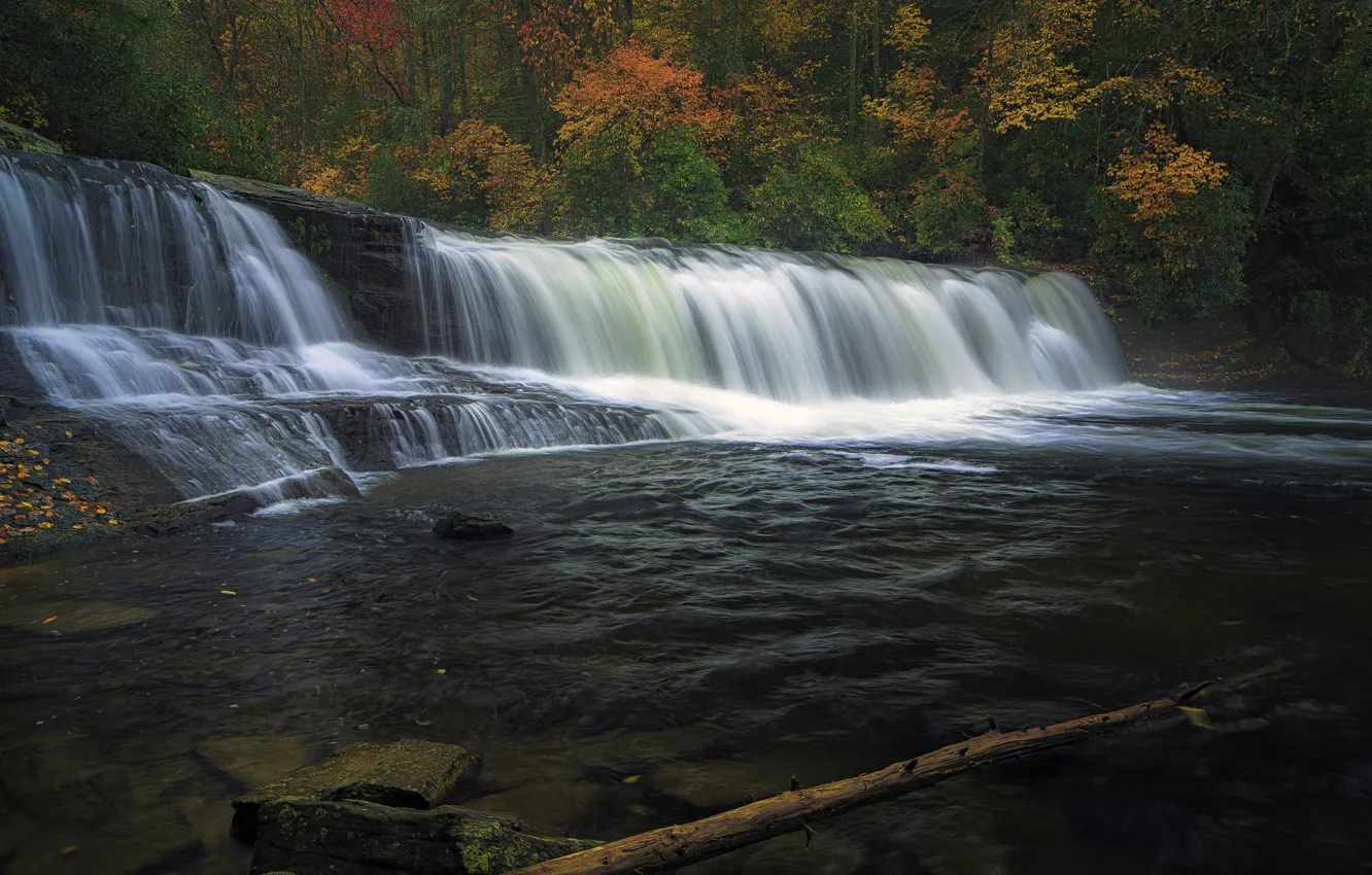 Photo wallpaper forest, rocks, shore, waterfall, stream
